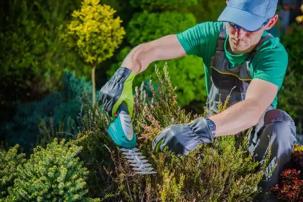 landscaping services Owensville